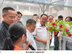 Projek SADV dikearapka ulih ngenyampatka pemansang digital di kandang menua ulu