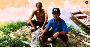 Siku baya besai semak 10 kaki pemanjai mujur ditangkap peranak ba Sungai Suai