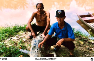 Siku baya besai semak 10 kaki pemanjai mujur ditangkap peranak ba Sungai Suai