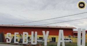 Peranak Sebuyau Dipinta Bekerejasama Ba Kereja Meresi, Netak Kayu Semak Tali Karan