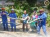 APM Spaoh nangkap ular sawa panjai 14 kaki ba Kampung Serembang