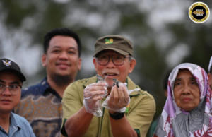 Pengawa ngelepaska 538 iku anak penyu kelai komitmen Sarawak ngagai pengelantang ekosistem tasik