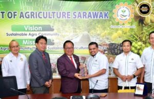 LPNM Sarawak negapka kerejasama strategik enggau Opis Betanam Betupi Sarawak dalam pemansang industri nanas
