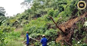 Tanah tusur ngempang jalai besai ba kandang Rumah Panjai di Mujau Keranggas