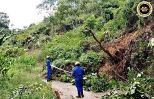 Tanah tusur ngempang jalai besai ba kandang Rumah Panjai di Mujau Keranggas