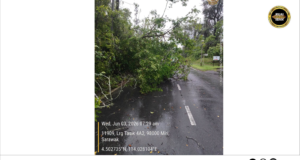 BBP Lutong lengkas muai kayu tumbang ngempang jalai ba Pantai Lutong