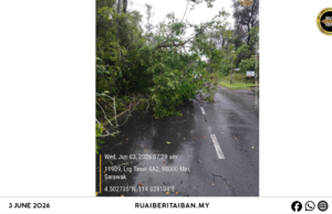 BBP Lutong lengkas muai kayu tumbang ngempang jalai ba Pantai Lutong
