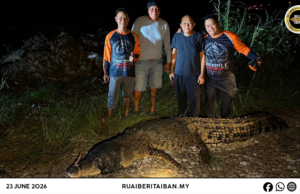 Eric Cat Nyadi Ketuai Nangkap Baya Besai Ba Tebing Sungai Kuching