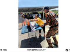 200 Iku Peranak Rumah Panjai Nyereta Latih Pengelikun Penusah Angus Di Samalaju