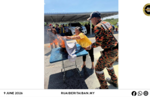 200 Iku Peranak Rumah Panjai Nyereta Latih Pengelikun Penusah Angus Di Samalaju