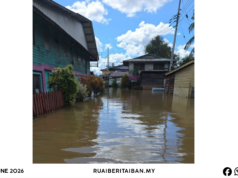 Tikas Ai Bah Kampung Long Bemang Mengkang Ba Peninggi 3.0 Kaki, 608 Iku Peranak Dikeruga
