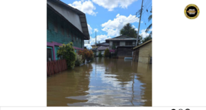 Tikas Ai Bah Kampung Long Bemang Mengkang Ba Peninggi 3.0 Kaki, 608 Iku Peranak Dikeruga