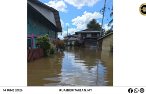 Tikas Ai Bah Kampung Long Bemang Mengkang Ba Peninggi 3.0 Kaki, 608 Iku Peranak Dikeruga