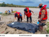 Orang tuai umur ditemu lesi ba tebing sungai