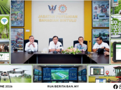 Raban Nembiak Diperansang Ngambi Peluang Dalam Betanam Betupi Chara Moden