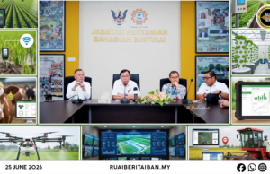 Raban Nembiak Diperansang Ngambi Peluang Dalam Betanam Betupi Chara Moden
