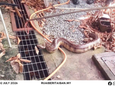 JBPM Lutong Mujur Nangkap Siku Ripong Ba Taman Senadin