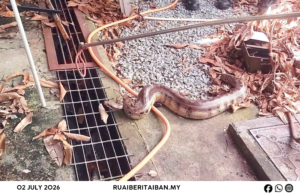 JBPM Lutong Mujur Nangkap Siku Ripong Ba Taman Senadin