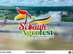 Sebauh Agrofest 2026 Mandangka Mayuh Aktiviti Narit Ati, Nyukung Pemansang Betanam Betupi